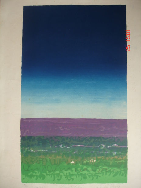 PAISAJE DE lOIZA