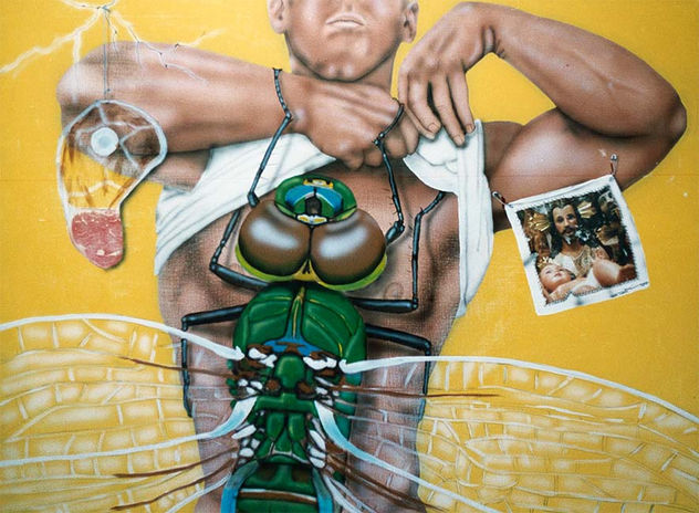 AMOR DE INSECTO