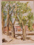 arboles en la plaza