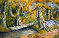 bosque de álamos