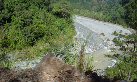 REFORESTACION