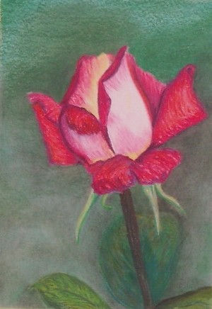 ROSA Oil Canvas Floral Painting