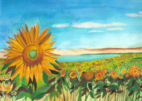 Los Girasoles