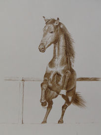 Caballo rampante