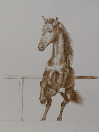 caballo rampante Ink