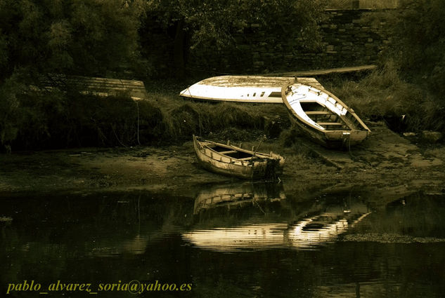 BARCAS con reflejos 