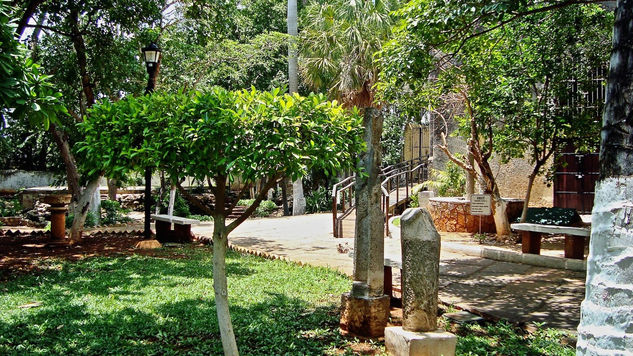 Jardin Botanico en la Ermita de Santa Isabel 