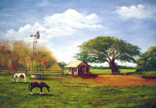 Campo Oil Canvas Landscaping