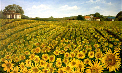 Girasoles