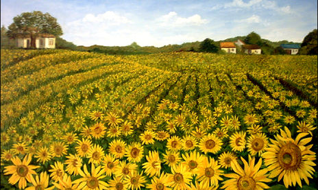 Girasoles