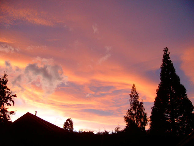 El cielo de casa 