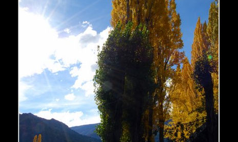 PatagoniaNatural