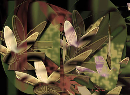 Mariposas