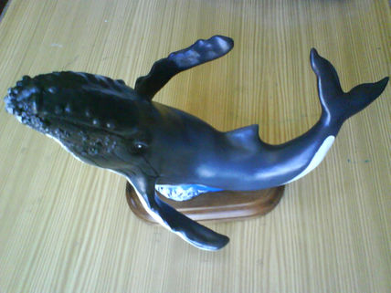 Ballena Yubarta