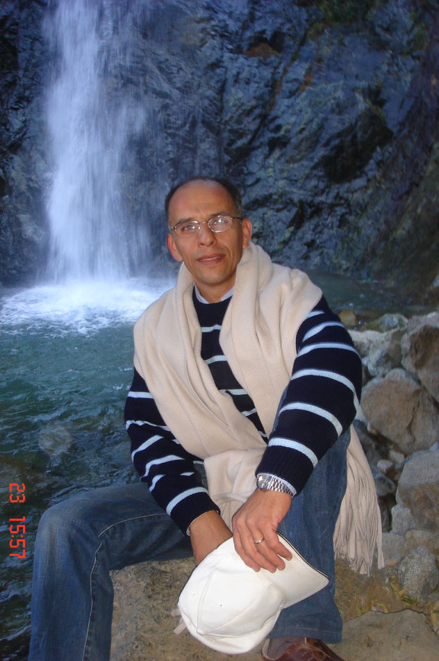TOROS BRAVOS