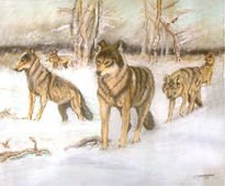 Lobos