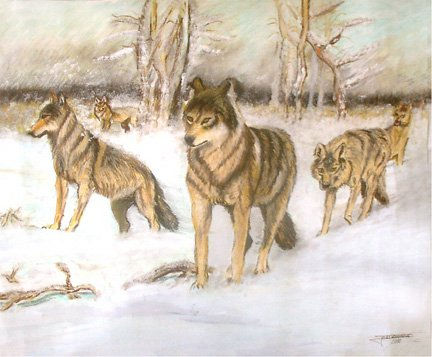 Lobos 