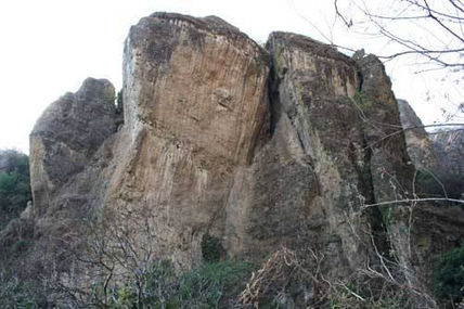 Roca