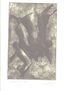 RENACER