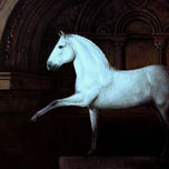 caballos thumbnail 1