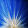light