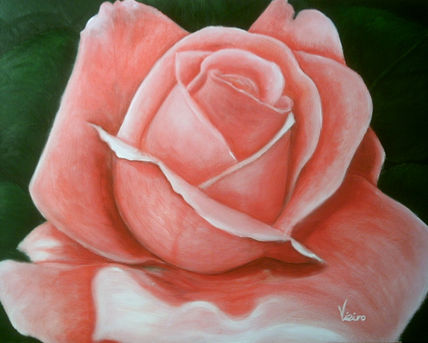 Rosa carmin