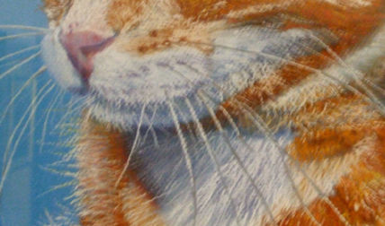 Detalle de boca de...