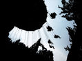 sombras del parque