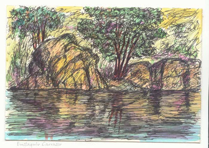 Arboles, rocas y agua