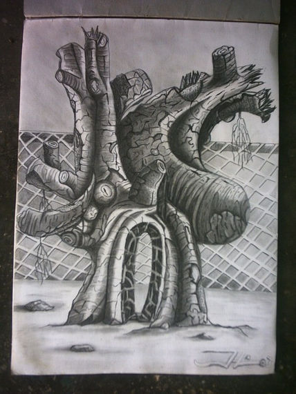 El saman de maitana
