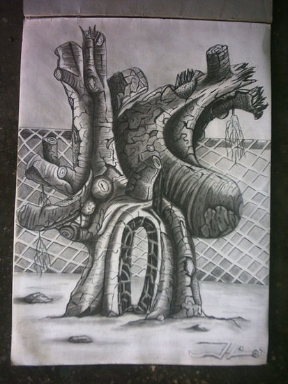 EL SAMAN DE MAITANA Charcoal