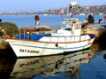 Pesca en el puerto