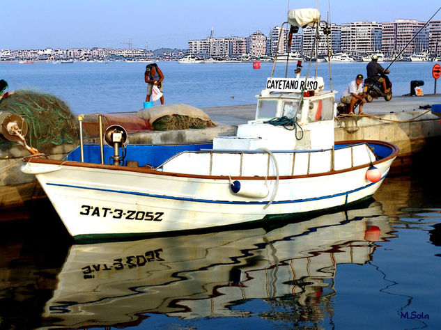 Pesca en el puerto 