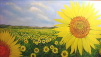 Campo de girasol