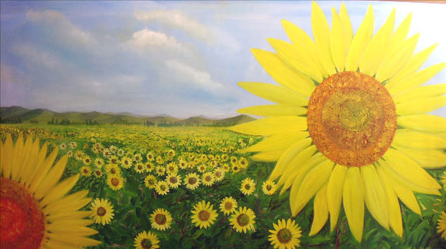 campo de girasol