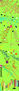 Sonoral Frequency