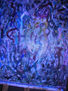 Nacimiento del Universo