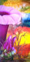 Los colores de la vida IV