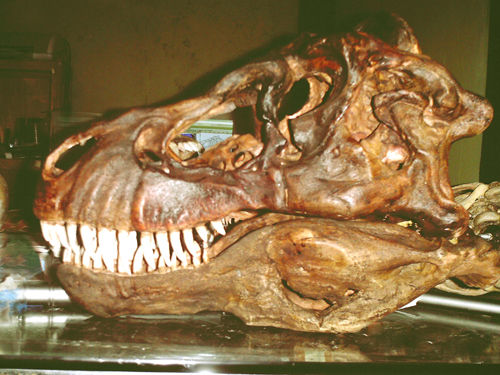 T-Rex Cerámica Figurativa