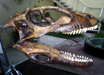 Deinonychus