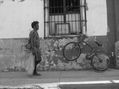 Desplazados por la violencia 3