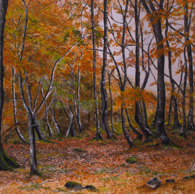 El bosque