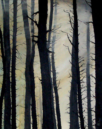 Luz en el bosque Acrylic Canvas Landscaping