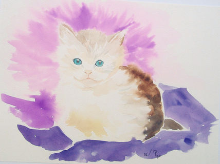 Gatito - vendido