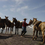 IV y V región, Chile thumbnail 2