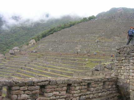 Majestuosa
