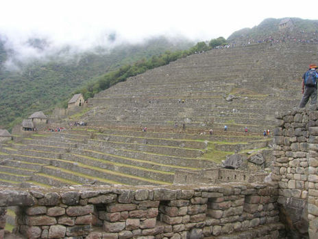 Majestuosa