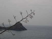 Cabo de gata