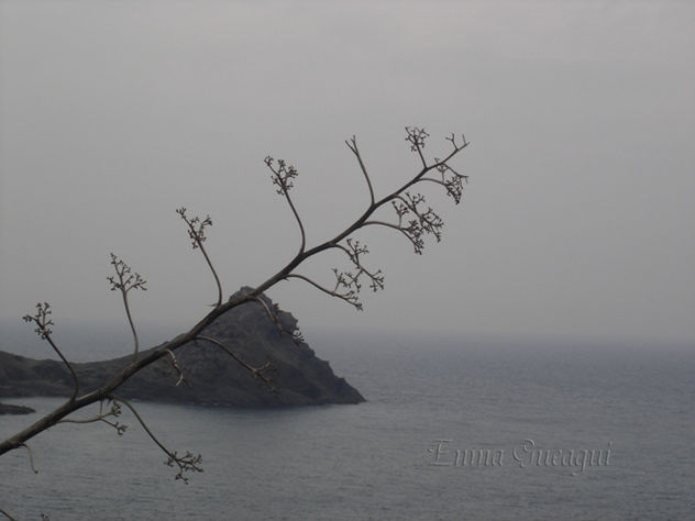 CABO DE GATA