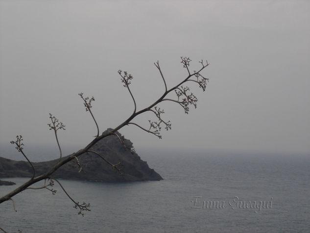 CABO DE GATA Naturaleza Color (Digital)